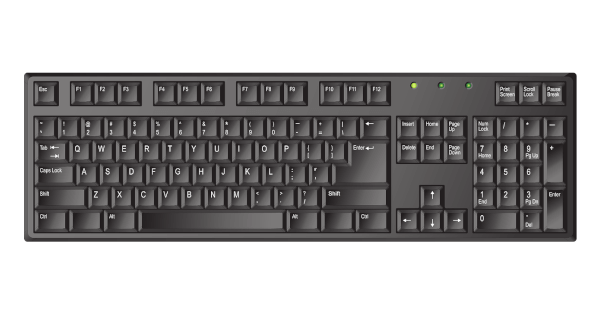 フルサイズ thumbnail